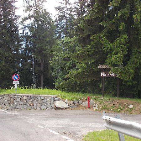 Lo Gnomo Villa Mezzana  Dış mekan fotoğraf