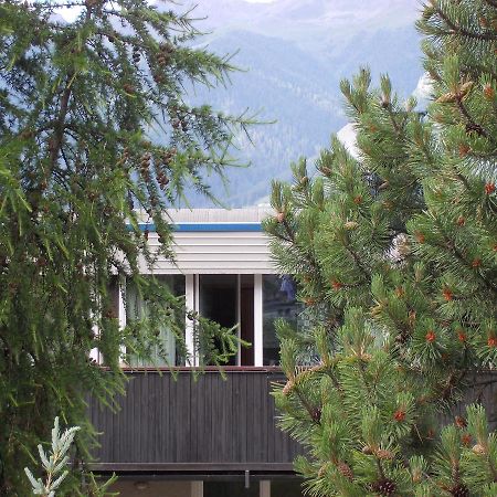 Lo Gnomo Villa Mezzana  Dış mekan fotoğraf