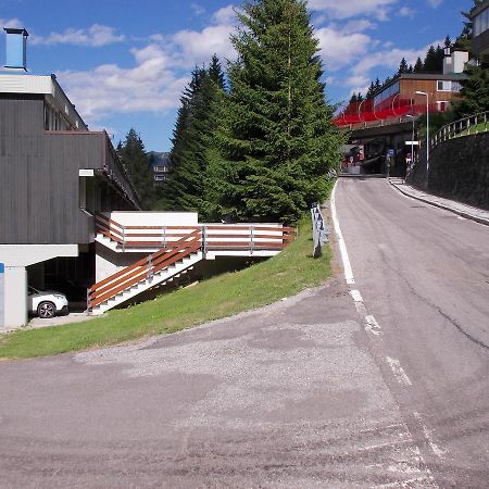 Lo Gnomo Villa Mezzana  Dış mekan fotoğraf